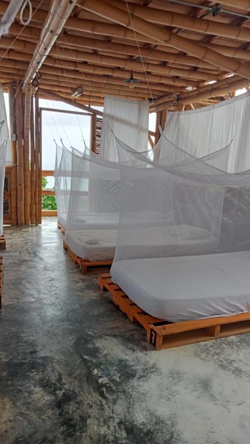 Niuwi Hostel 伯里塔卡 外观 照片