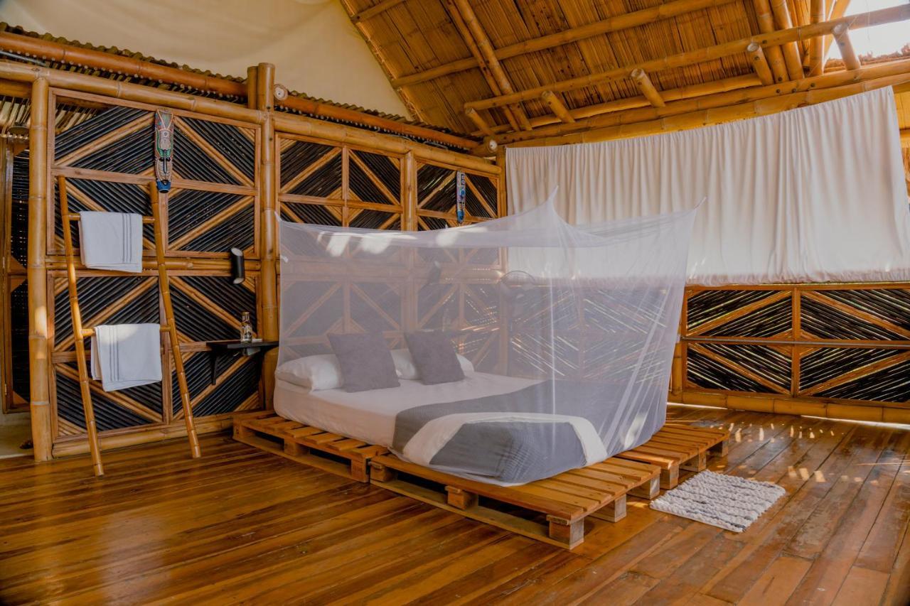 Niuwi Hostel 伯里塔卡 外观 照片