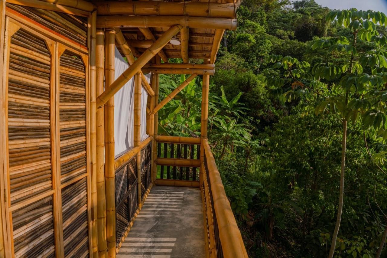 Niuwi Hostel 伯里塔卡 外观 照片