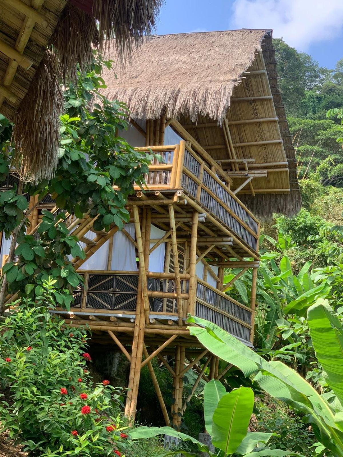 Niuwi Hostel 伯里塔卡 外观 照片