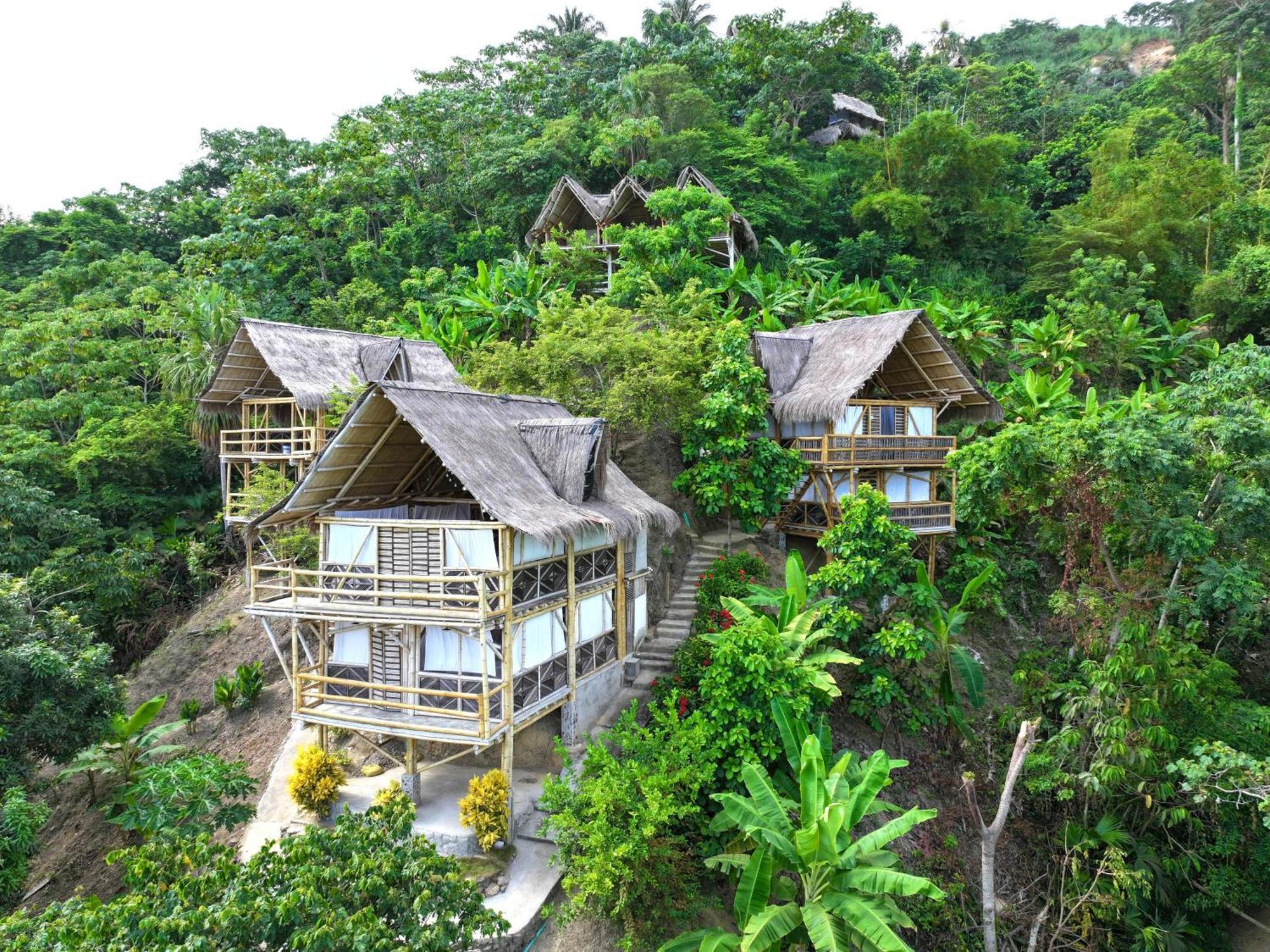 Niuwi Hostel 伯里塔卡 外观 照片