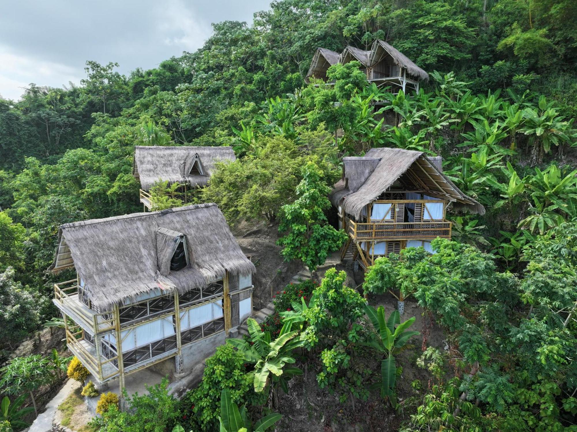 Niuwi Hostel 伯里塔卡 外观 照片