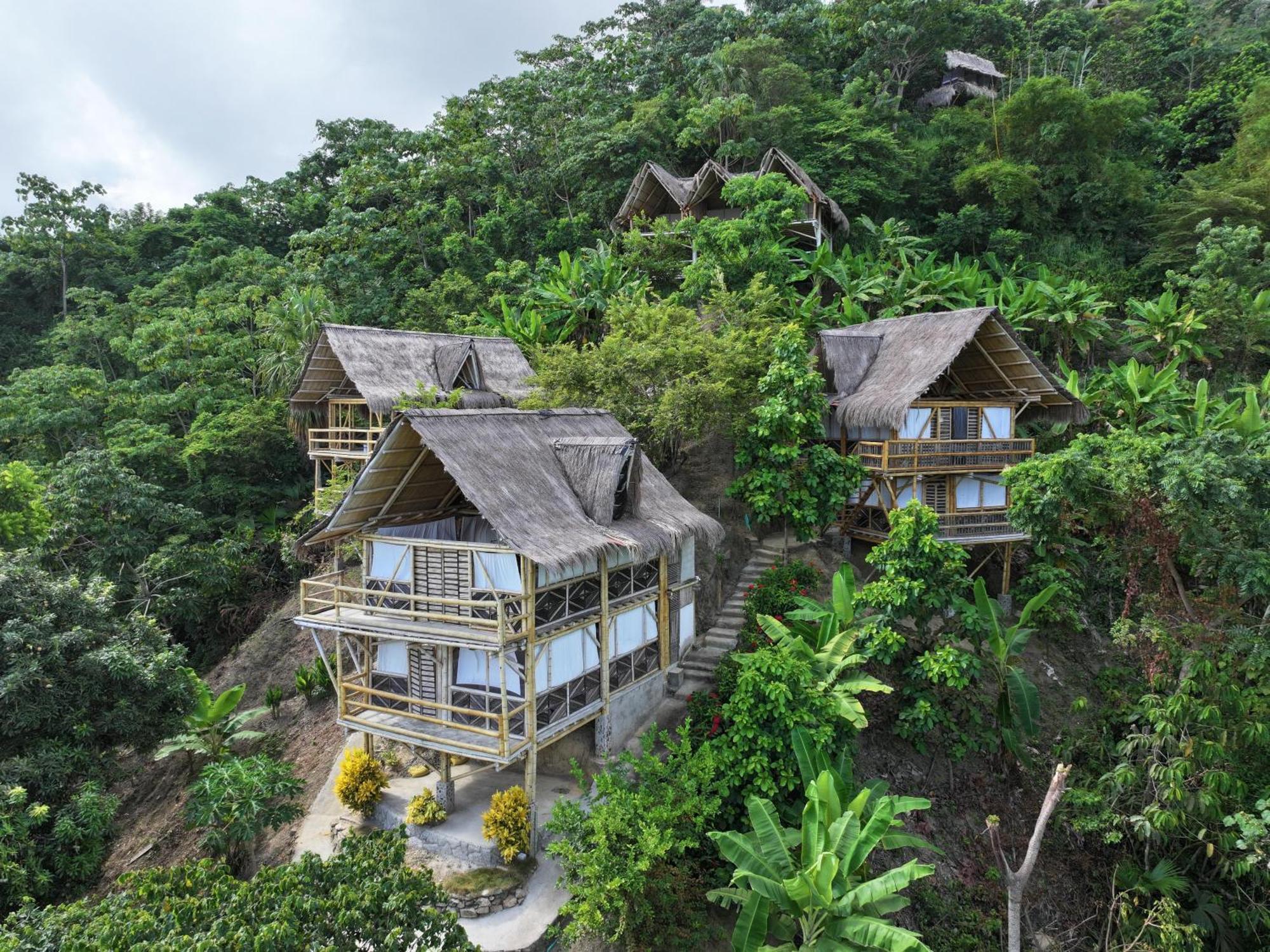Niuwi Hostel 伯里塔卡 外观 照片