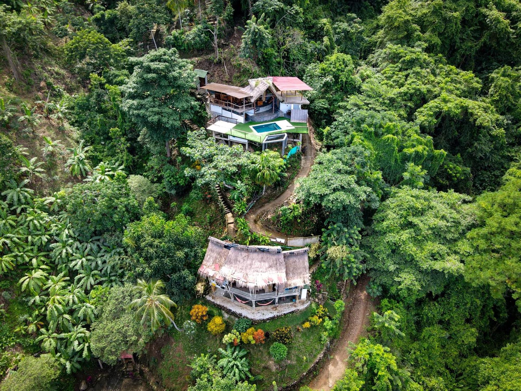 Niuwi Hostel 伯里塔卡 外观 照片